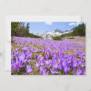 Buscar bulgaria tarjetas Europa