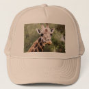 Buscar jirafa gorras Animal