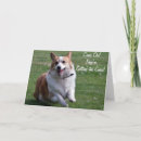 Buscar pozo tarjetas Corgi