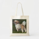 Buscar shih tzu bolsos Lindo