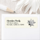 Buscar edelweiss etiquetas Floral