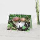 Buscar seta fotografía Bosque