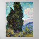 Buscar ciprés posters Árbol de ciprés