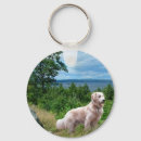 Buscar golden retriever llaveros Perro