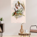 Buscar colibrí posters Planta