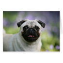 Buscar carlin postales Alarma