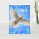 Buscar dove tarjetas Paloma