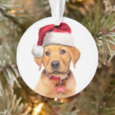 Buscar zorro feliz adornos Lindo