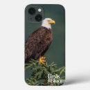 Buscar calvo electronica Águila