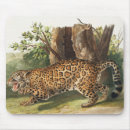 Buscar jaguar alfombrillas de raton Mamífero