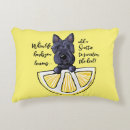 Buscar scottie cojines General y unisex