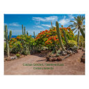 Buscar islas canarias posters Fuerteventura