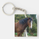 Buscar sea horse llaveros Caballo