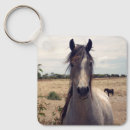 Buscar pony llaveros Caballo