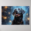 Buscar labrador retriever negro posters Laboratorio