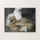 Buscar gallinas puzzles Animal
