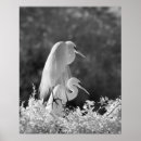 Buscar infrarrojo posters Blanco