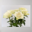 Buscar rosas blancas posters General y unisex