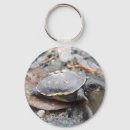 Buscar natur llaveros Reptile