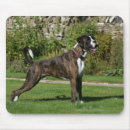 Buscar brindle alfombrillas de raton Boxeador