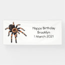 Buscar tarantula decoracion Araña