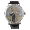 Buscar alison accesorios Parque nacional de amboseli