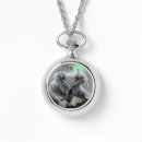 Buscar australia collares Koala