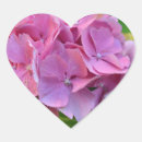 Buscar hortensia pegatinas Botánico