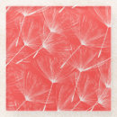 Buscar dandelion posavasos Verano