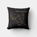 Buscar el gato negro cojines Adorable