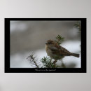 Buscar gorriones posters Invierno