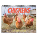 Buscar gallina calendarios Divertido