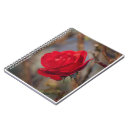 Buscar del rosa rojo libretas Amor