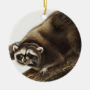 Buscar mapache adornos Vintage