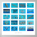 Buscar natación sincronizada posters Equipo de natación