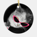 Buscar gafas adornos Gato