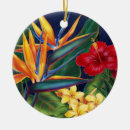 Buscar ave del paraíso adornos Hawaiano