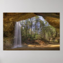 Buscar ceniza posters Naturaleza