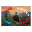 Buscar águila americana posters Americano
