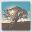 Buscar hierro posavasos Naturaleza