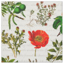 Buscar farmacia manualidades Medicina