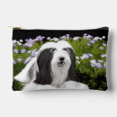 Buscar collie accesorios Barbudo