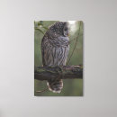 Buscar juveniles lienzos Animal