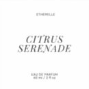 Buscar book etiquetas Moderno