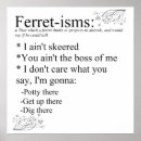 Buscar ferret arte Hurones