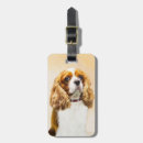 Buscar cavalier etiquetas para maletas Cavalier king charles spaniel