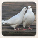 Buscar palomas blancas posavasos Naturaleza