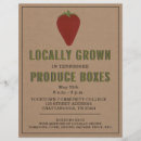 Buscar frutas flyers Fresa