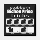 Buscar frise del bichon imanes Divertido