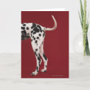 Buscar parte tarjetas Perro
